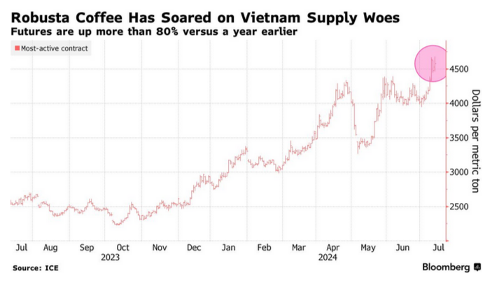 /brief/img/Screenshot 2024-07-12 at 09-15-58 Crucial Coffee Exports From Vietnam to Be Tight Through Year-End - Bloomberg.png